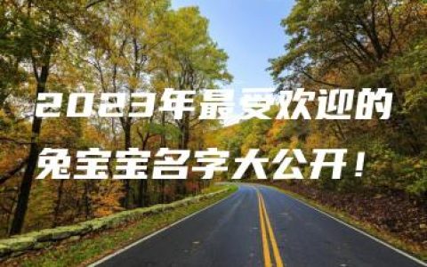 2023年最受欢迎的兔宝宝名字大公开！