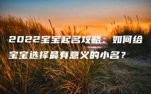 2022宝宝起名攻略：如何给宝宝选择最有意义的小名？