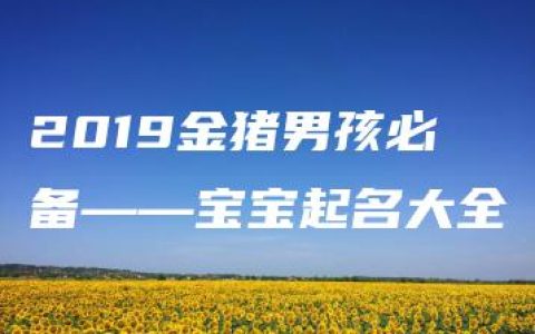 2019金猪男孩必备——宝宝起名大全