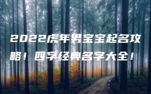 2022虎年男宝宝起名攻略！四字经典名字大全！