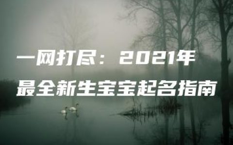 一网打尽：2021年最全新生宝宝起名指南