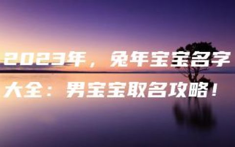 2023年，兔年宝宝名字大全：男宝宝取名攻略！