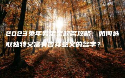 2023兔年男宝宝起名攻略：如何选取独特又富有吉祥意义的名字？