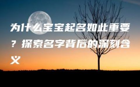 为什么宝宝起名如此重要？探索名字背后的深刻含义