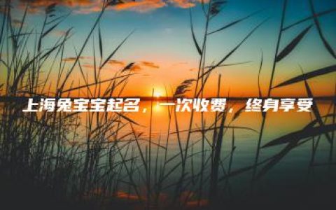 上海兔宝宝起名，一次收费，终身享受