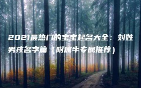 2021最热门的宝宝起名大全：刘姓男孩名字篇（附属牛专属推荐）