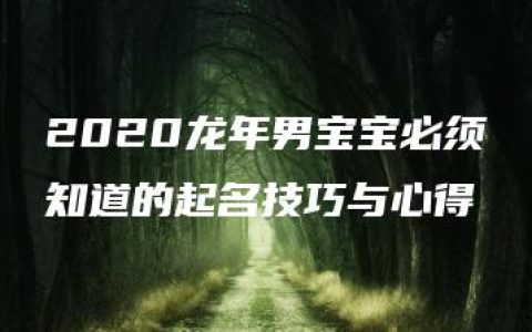 2020龙年男宝宝必须知道的起名技巧与心得