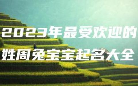 2023年最受欢迎的姓周兔宝宝起名大全