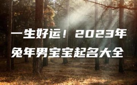 一生好运！2023年兔年男宝宝起名大全