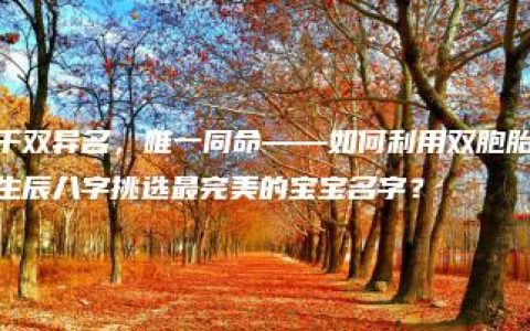 千双异名，唯一同命——如何利用双胞胎生辰八字挑选最完美的宝宝名字？