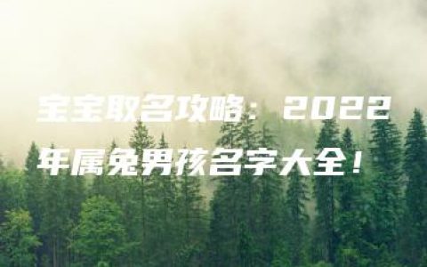 宝宝取名攻略：2022年属兔男孩名字大全！