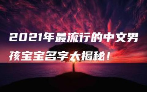 2021年最流行的中文男孩宝宝名字大揭秘！