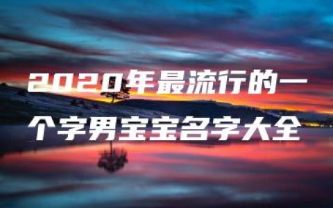 2020年最流行的一个字男宝宝名字大全