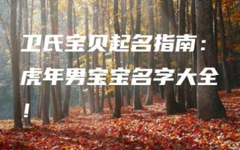 卫氏宝贝起名指南：虎年男宝宝名字大全！