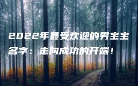 2022年最受欢迎的男宝宝名字：走向成功的开端！