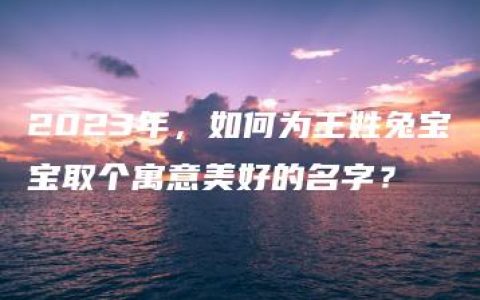 2023年，如何为王姓兔宝宝取个寓意美好的名字？