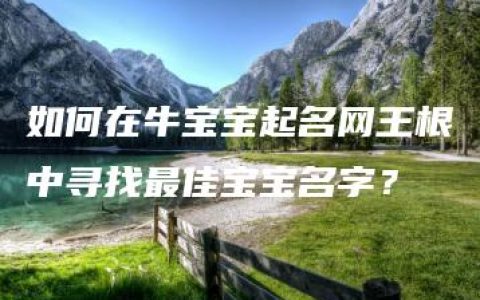 如何在牛宝宝起名网王根中寻找最佳宝宝名字？