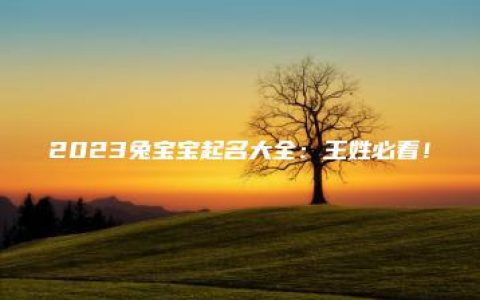 2023兔宝宝起名大全：王姓必看！