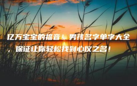 亿万宝宝的福音！男孩名字单字大全，保证让你轻松找到心仪之名！