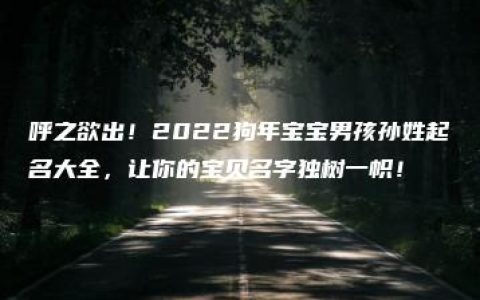 呼之欲出！2022狗年宝宝男孩孙姓起名大全，让你的宝贝名字独树一帜！