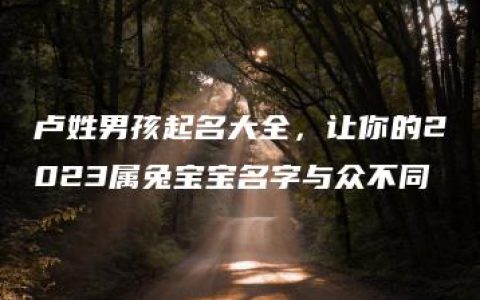 卢姓男孩起名大全，让你的2023属兔宝宝名字与众不同