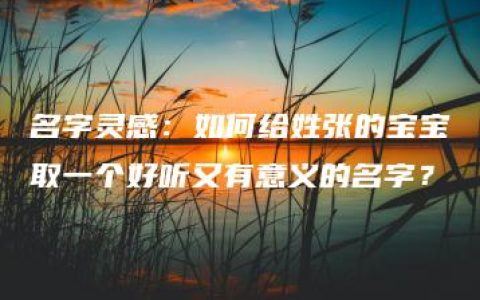 名字灵感：如何给姓张的宝宝取一个好听又有意义的名字？