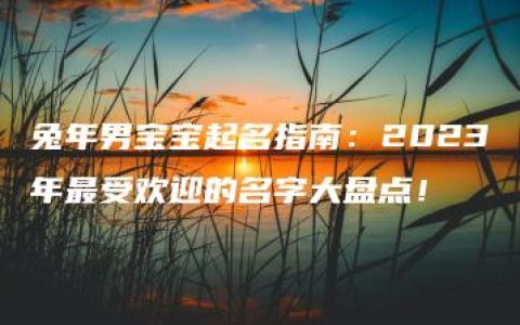 兔年男宝宝起名指南：2023年最受欢迎的名字大盘点！