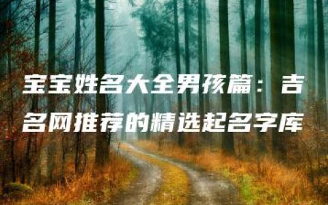 宝宝姓名大全男孩篇：吉名网推荐的精选起名字库