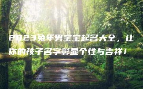 2023兔年男宝宝起名大全，让你的孩子名字彰显个性与吉祥！