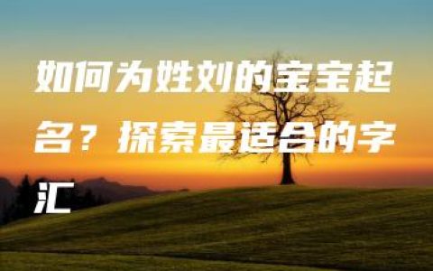 如何为姓刘的宝宝起名？探索最适合的字汇