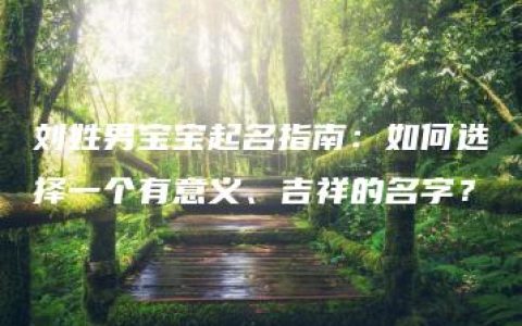 刘姓男宝宝起名指南：如何选择一个有意义、吉祥的名字？