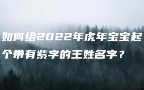 如何给2022年虎年宝宝起个带有紫字的王姓名字？