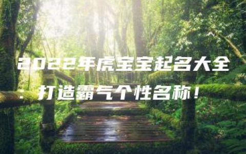 2022年虎宝宝起名大全：打造霸气个性名称！