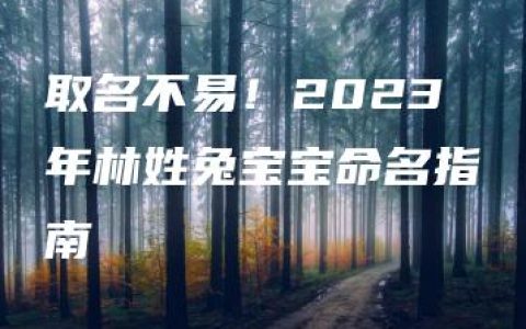 取名不易！2023年林姓兔宝宝命名指南