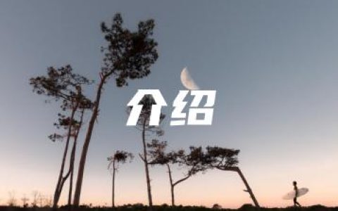 介绍