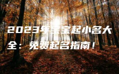 2023年宝宝起小名大全：免费起名指南！