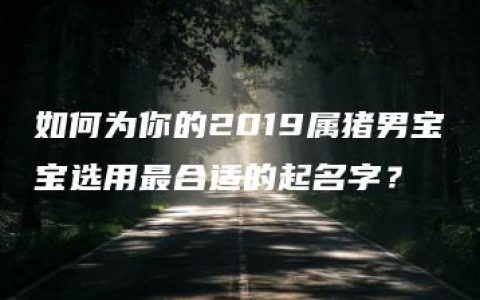 如何为你的2019属猪男宝宝选用最合适的起名字？