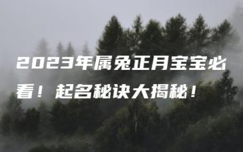 2023年属兔正月宝宝必看！起名秘诀大揭秘！