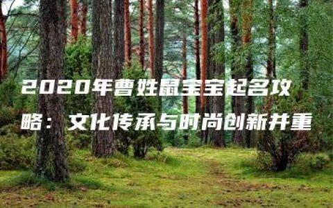 2020年曹姓鼠宝宝起名攻略：文化传承与时尚创新并重