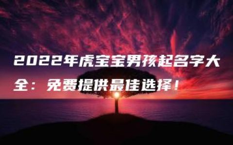 2022年虎宝宝男孩起名字大全：免费提供最佳选择！