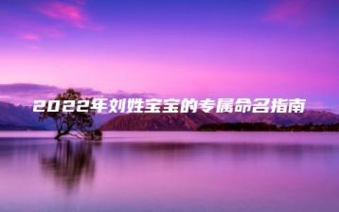 2022年刘姓宝宝的专属命名指南