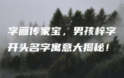 字画传家宝，男孩梓字开头名字寓意大揭秘！