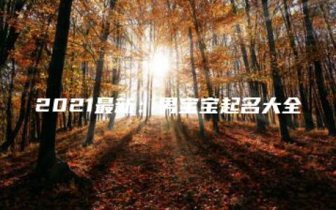 2021最新：男宝宝起名大全