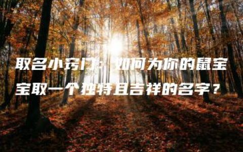 取名小窍门：如何为你的鼠宝宝取一个独特且吉祥的名字？