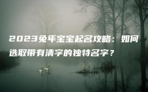 2023兔年宝宝起名攻略：如何选取带有清字的独特名字？