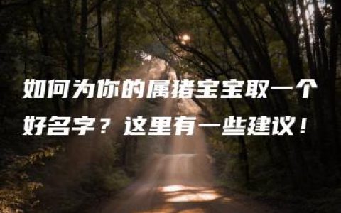 如何为你的属猪宝宝取一个好名字？这里有一些建议！