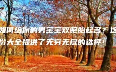 如何给你的男宝宝双胞胎起名？这份大全提供了无穷无尽的选择！