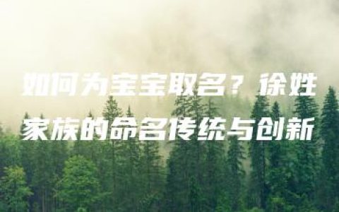 如何为宝宝取名？徐姓家族的命名传统与创新