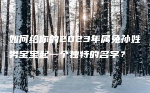 如何给你的2023年属兔孙姓男宝宝起一个独特的名字？