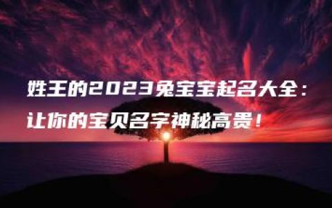 姓王的2023兔宝宝起名大全：让你的宝贝名字神秘高贵！